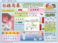 白小姐内幕A