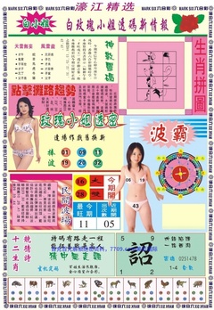濠江精选B